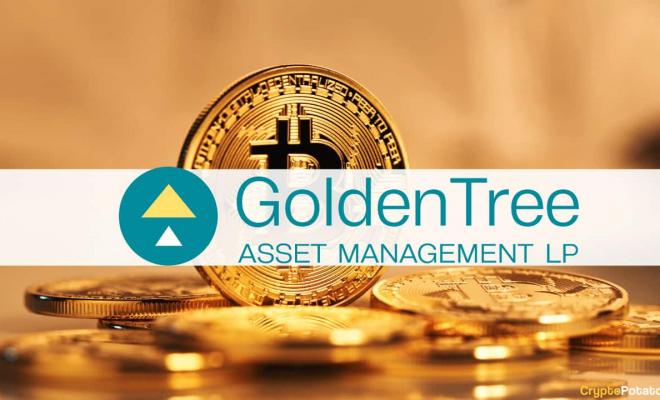 Фонд GoldenTree приобретает биткоины?