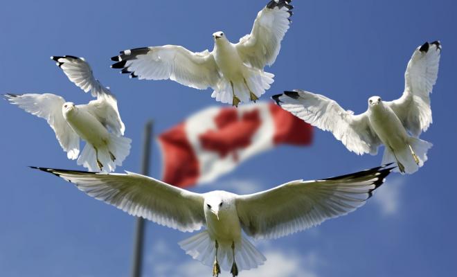 Канадский регулятор обвинил Bybit в несоблюдении законодательства